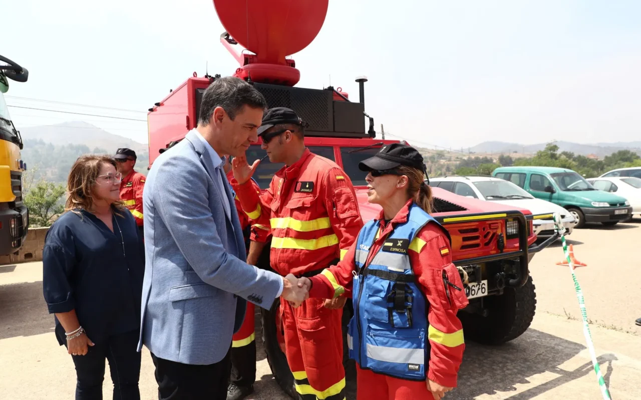 Spain to launch largest-ever forest fire campaign after record losses