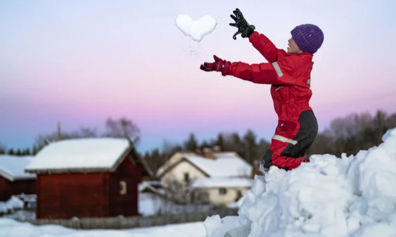 ‘Made a new Swedish friend’: Good things that happened to The Local’s readers in the past year