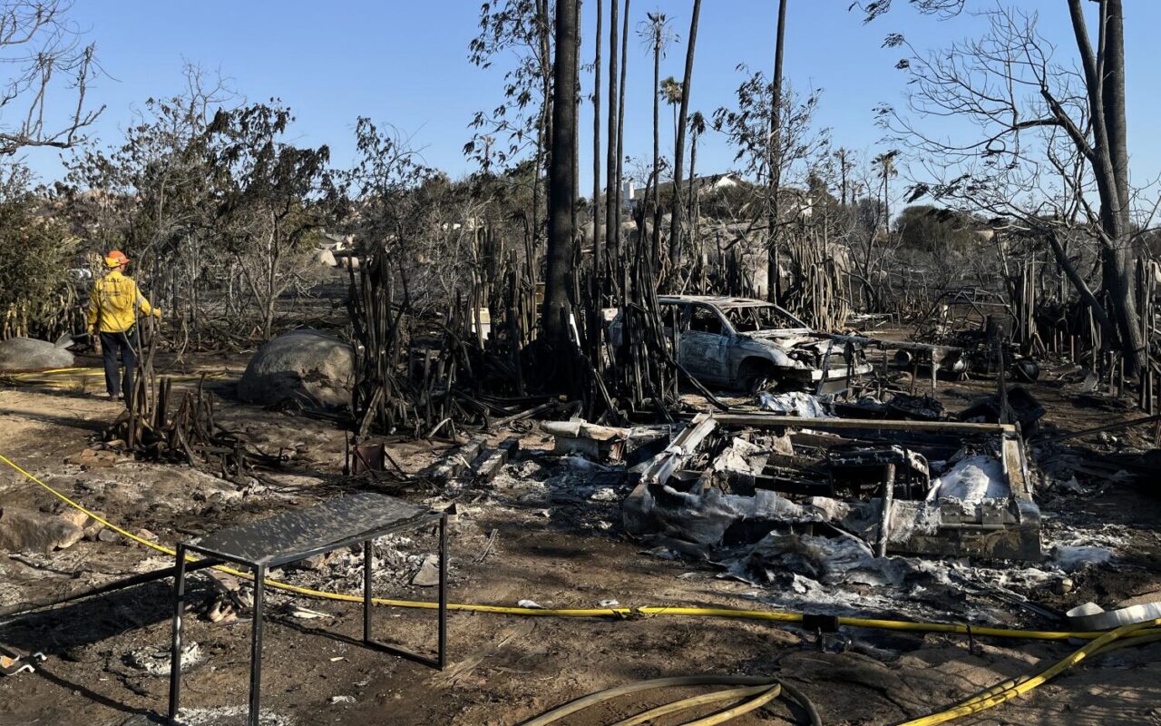 Raging fire burned millions of his bees. But what comes next really worries him
