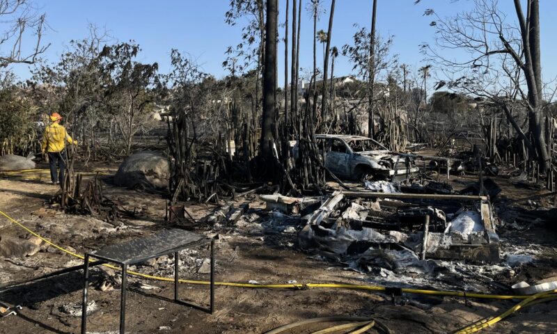 Raging fire burned millions of his bees. But what comes next really worries him