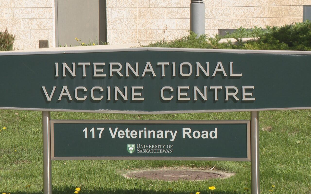 Saskatoon researchers in ‘very early stages’ of animal testing for hantavirus vaccine