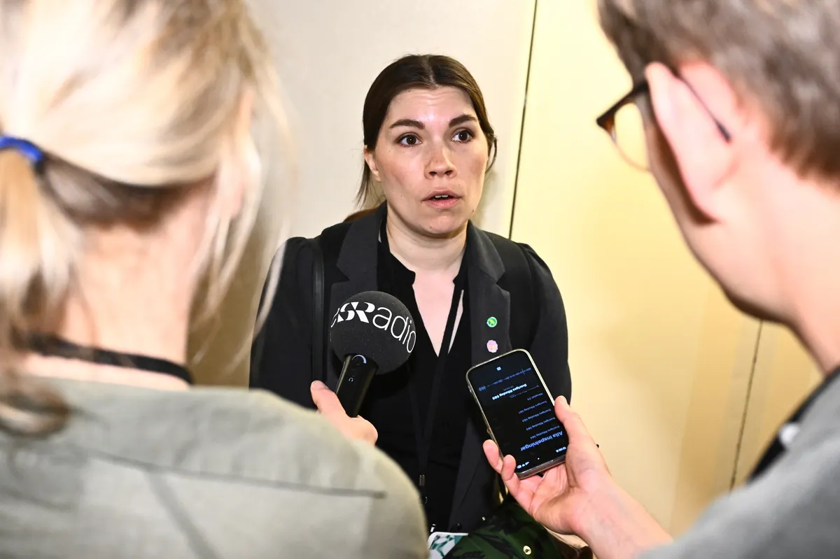 Swedish Greens make emergency bid to force revote on transitional citizenship rules