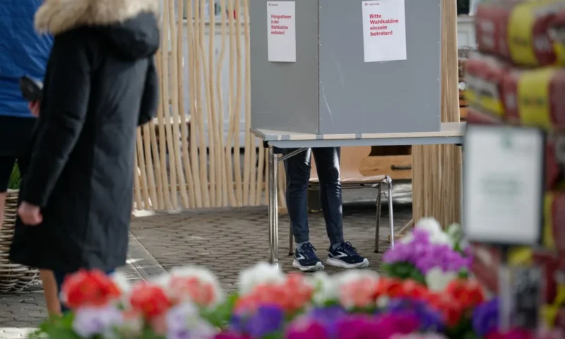 Left Party calls for voting rights for foreigners in Germany