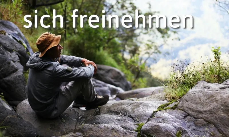German Expression of the Day: sich freinehmen