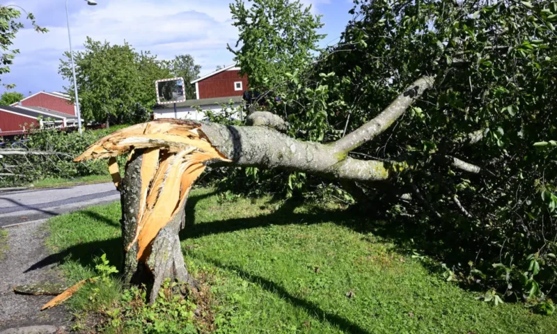 Today in Sweden: A roundup of the latest news on Thursday