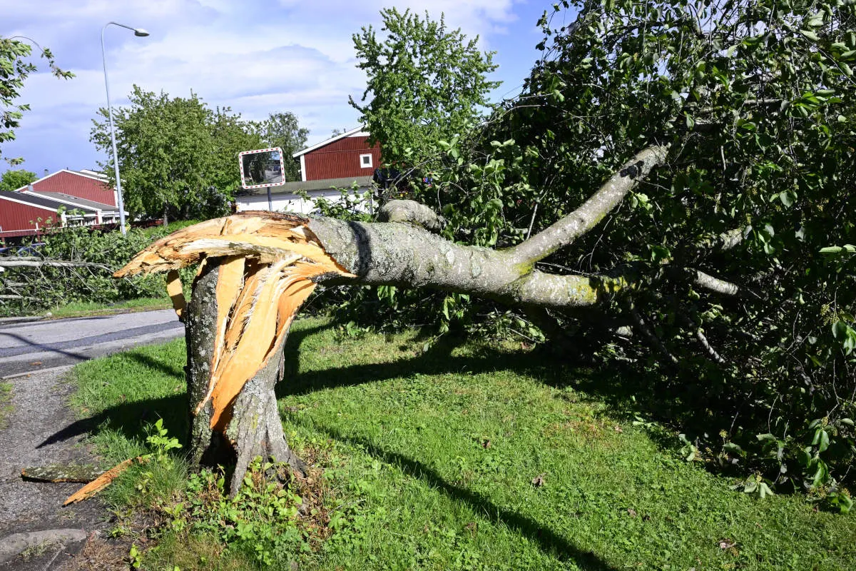 Today in Sweden: A roundup of the latest news on Thursday