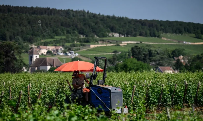 Paris braces for 35C as heatwave eases in western France