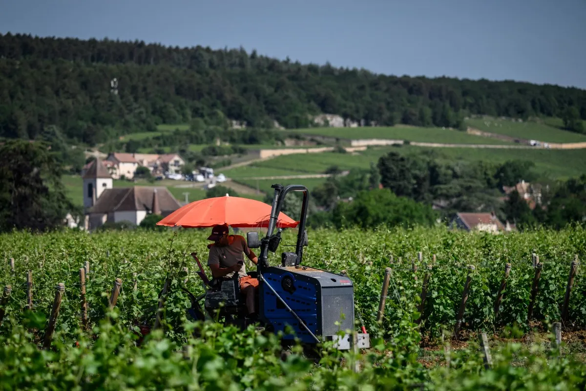 Paris braces for 35C as heatwave eases in western France