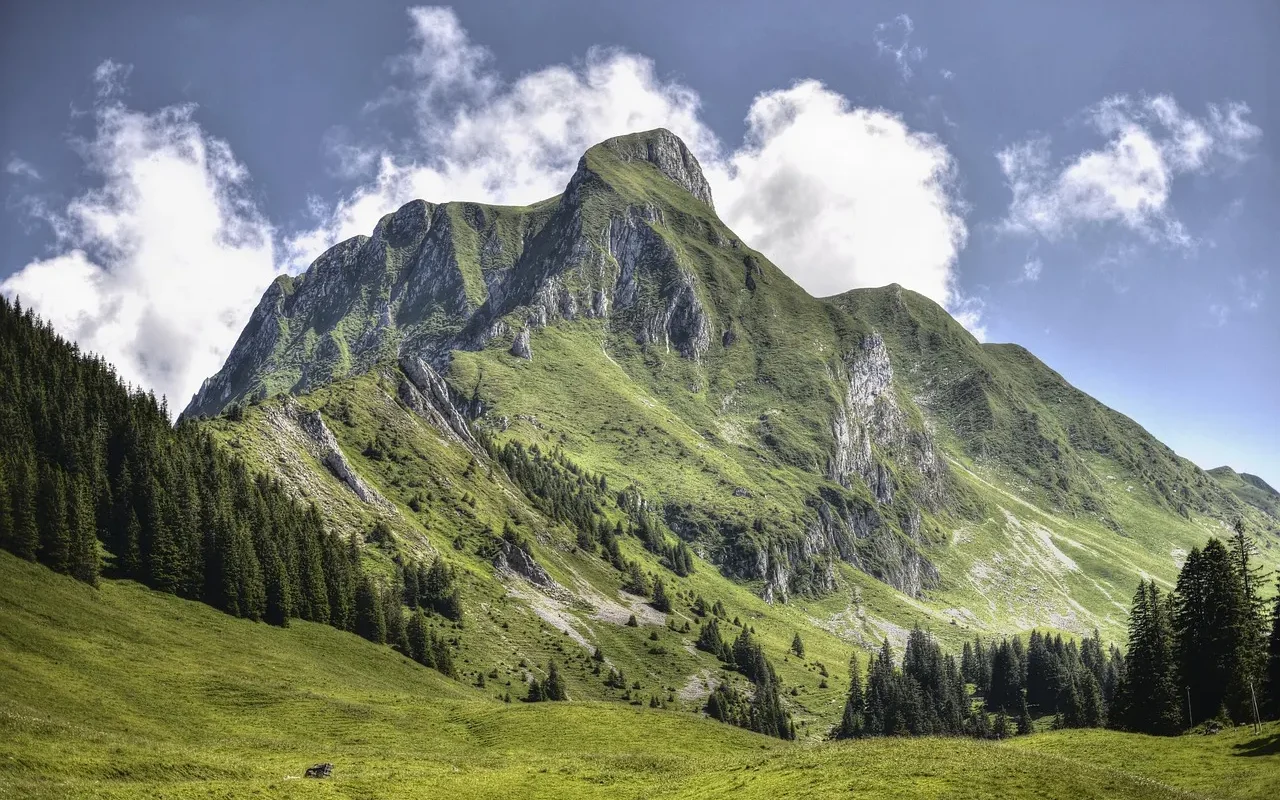 Austrian paraglider survives after being hit by plane mid-air in the Alps