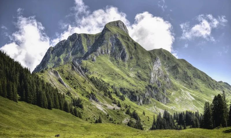 Austrian paraglider survives after being hit by plane mid-air in the Alps