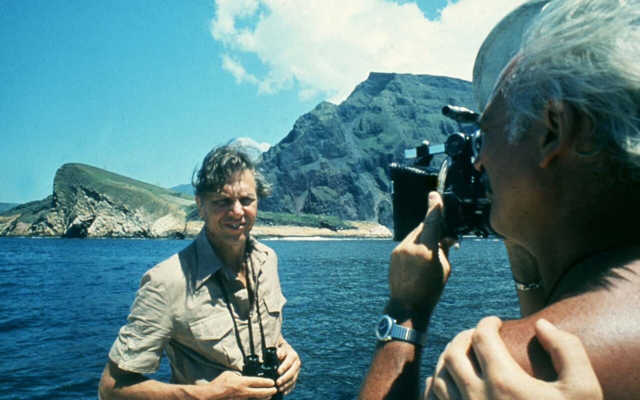 New Scientist recommends Attenborough documentary Making Life on Earth