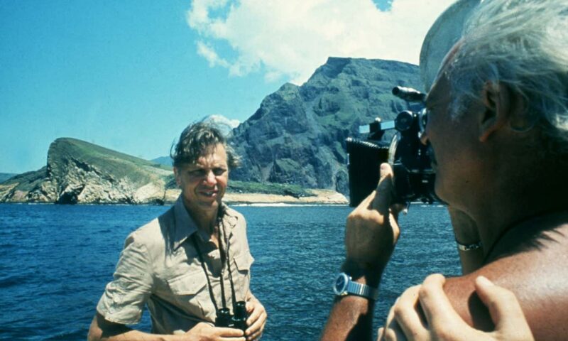 New Scientist recommends Attenborough documentary Making Life on Earth