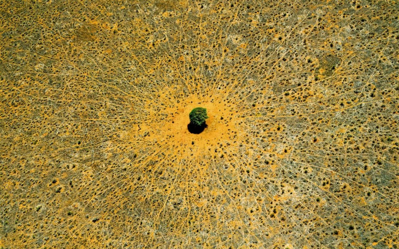 Earth from Above author returns with astonishing freshwater images