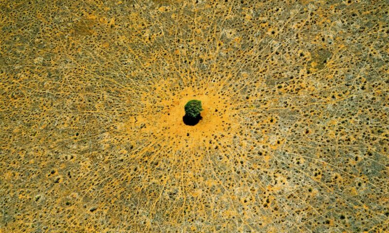 Earth from Above author returns with astonishing freshwater images