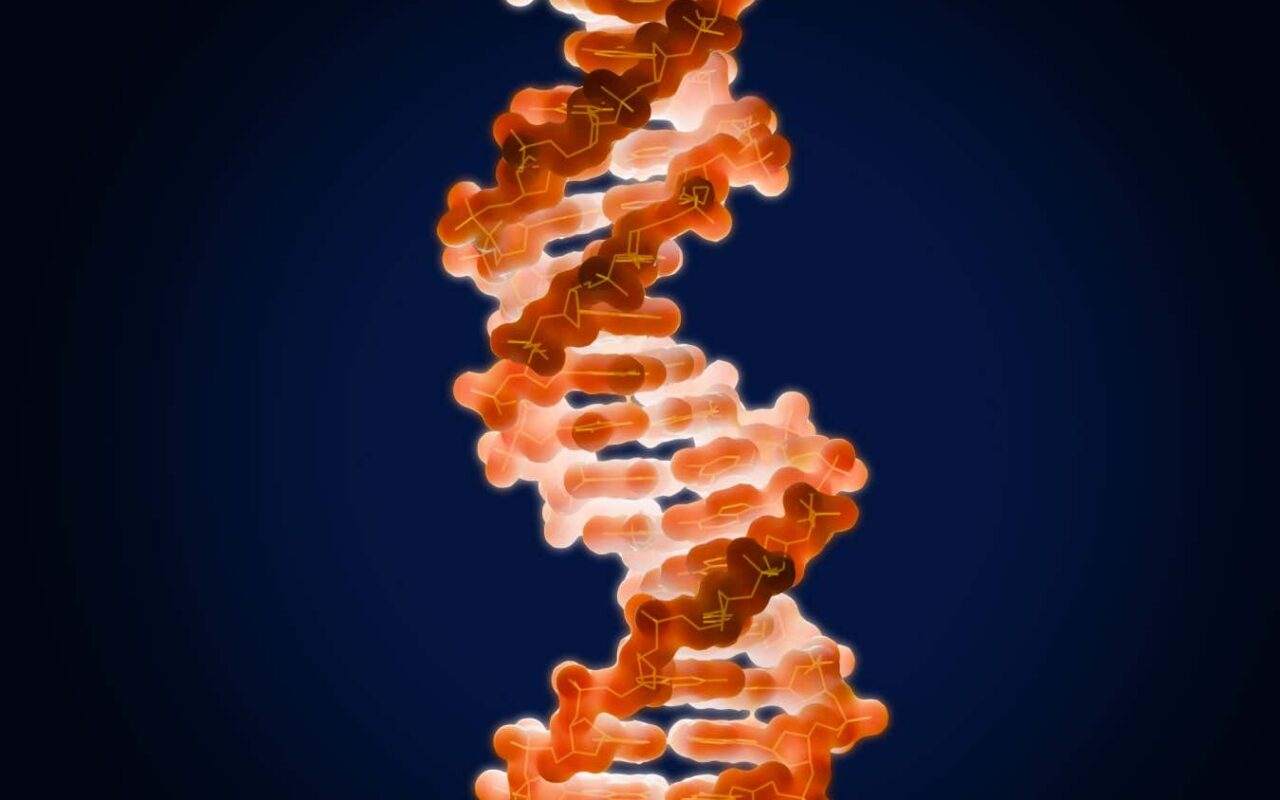 Read an extract from The Selfish Gene by Richard Dawkins