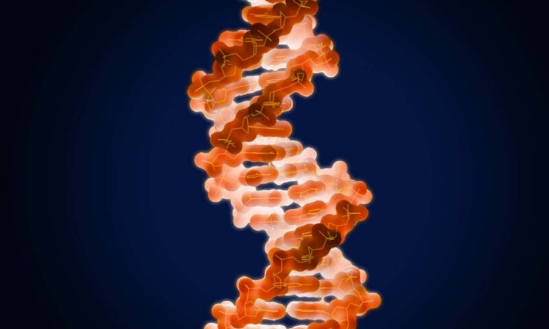 Read an extract from The Selfish Gene by Richard Dawkins