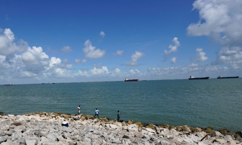 Texas teen bit, hospitalized after reportedly trying to bring shark on boat