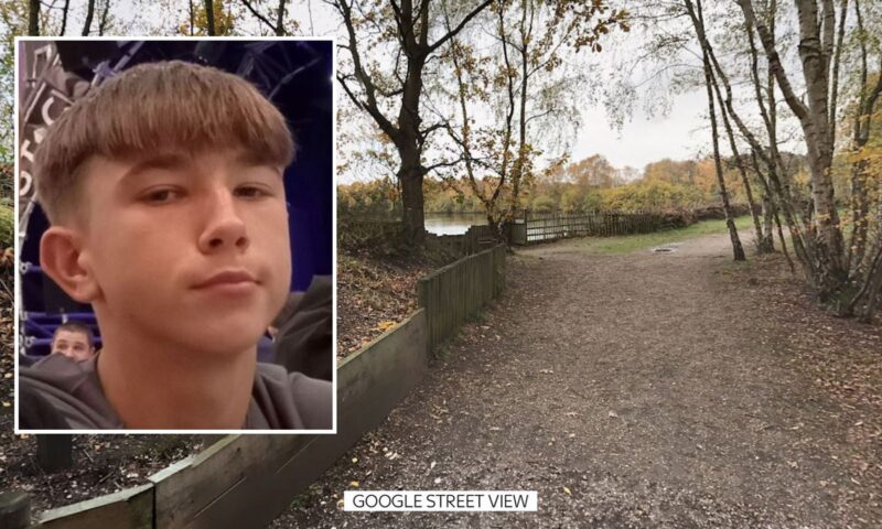 Tributes paid to boy who died after getting into difficulty in lake