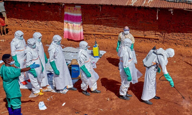 Five recover from Ebola – as Brazil investigates two suspected cases