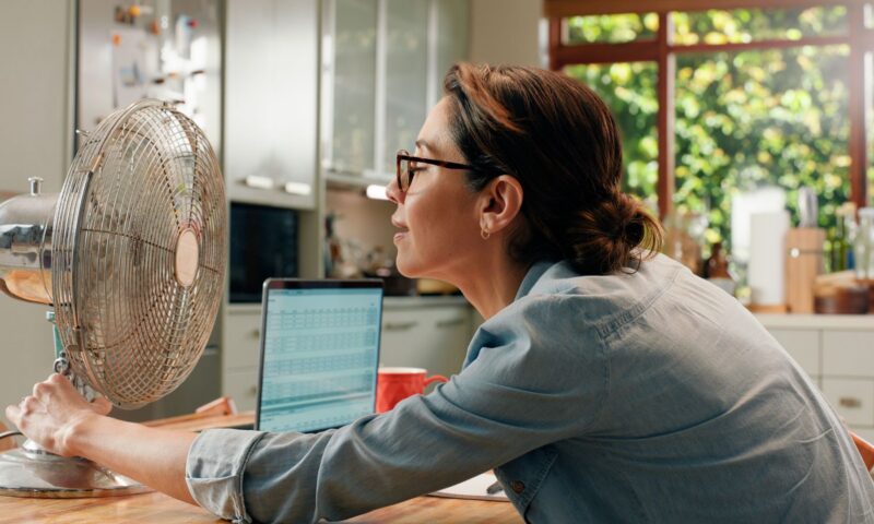 Buying a new fan? These are the models experts have at home