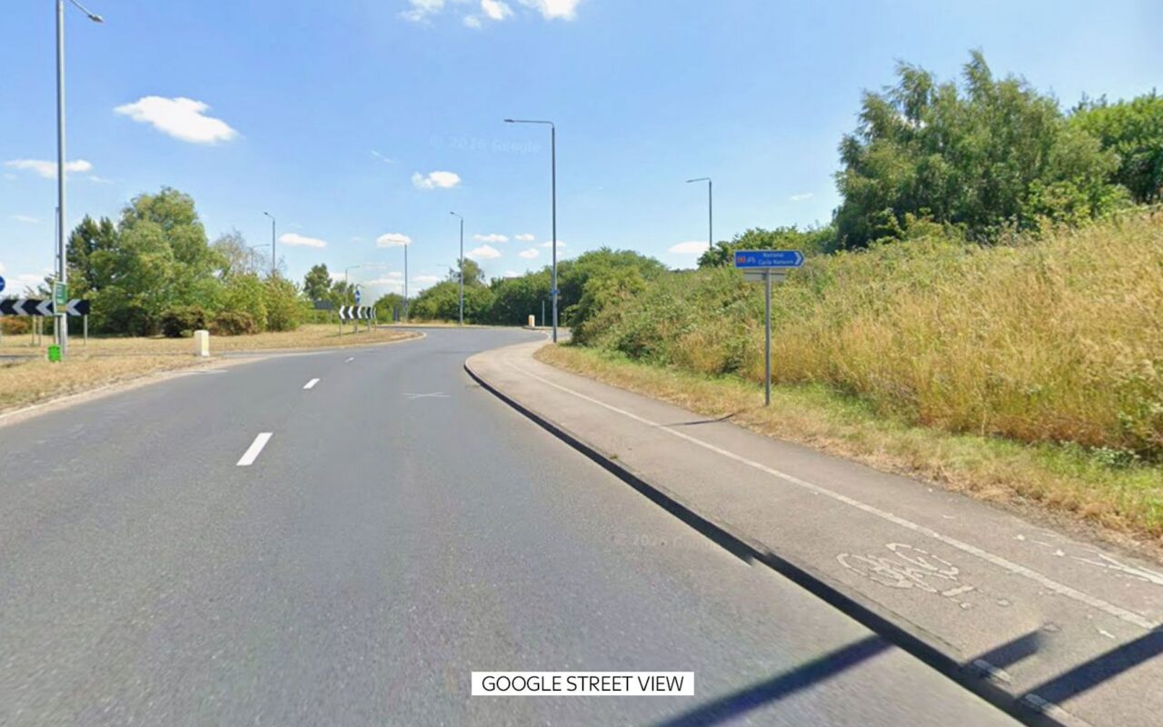 Human skeletal remains found in wooded area