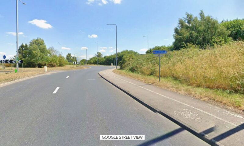 Human skeletal remains found in wooded area