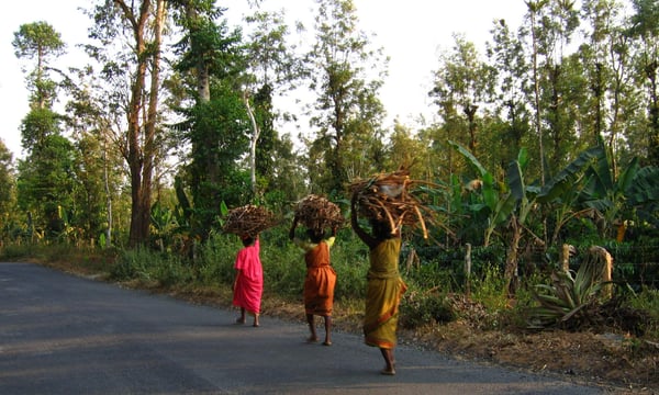 Kerala’s Climate Plan Speaks the Language of Justice — But Erases Caste