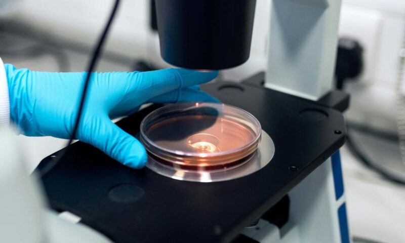 Science Snapshots: May 24, 2026