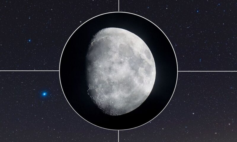 What is the blue-white star next to the moon tonight?