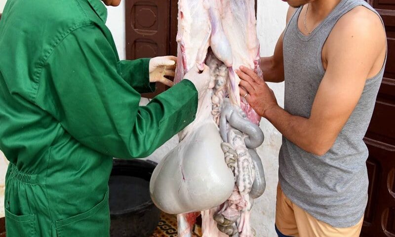 خبراء يحذرون المغاربة من مخاطر الحرارة على اللحوم في عيد الأضحى