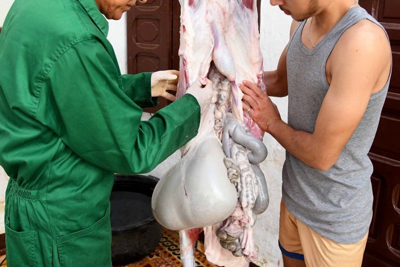 خبراء يحذرون المغاربة من مخاطر الحرارة على اللحوم في عيد الأضحى