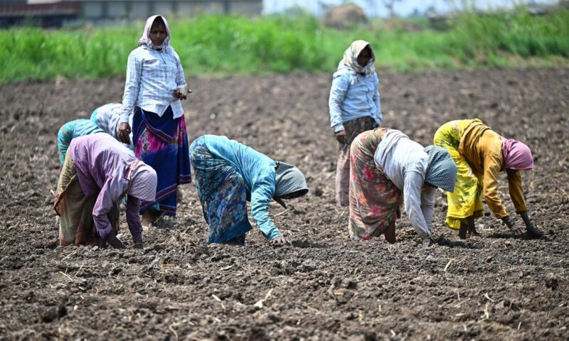 Government readies contingency plans to counter El Nino threat to kharif season, says Agriculture Minister Shivraj Chouhan