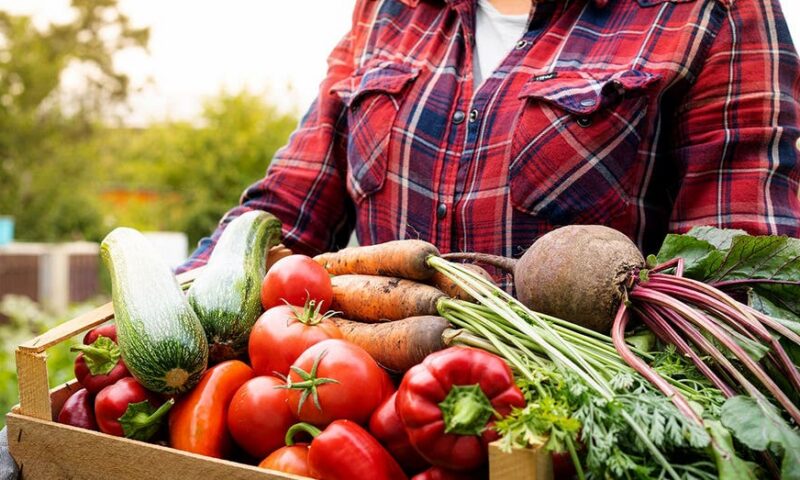 Followers of Bible-based diet say scripture-guided eating transformed their health