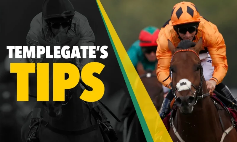 Horse racing tips: ‘Red-hot trainer-jockey combo for awesome daughter of Frankel on handicap debut’ – Templegate NAP