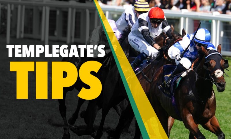 Horse racing tips: ‘He’s in the form of his life, chasing a hat-trick and over his favourite trip’ – Templegate’s NAP