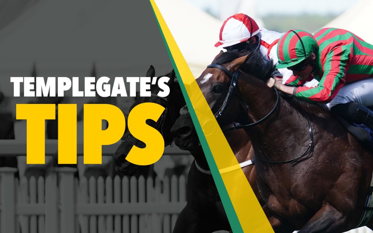 Horse racing tips: ‘Skelton horse is winning with loads in hand’ – Templegate’s Sunday NAP fresh off Saturday’s big win