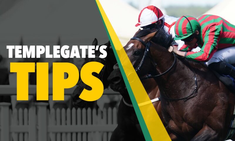 Horse racing tips: ‘Skelton horse is winning with loads in hand’ – Templegate’s Sunday NAP fresh off Saturday’s big win