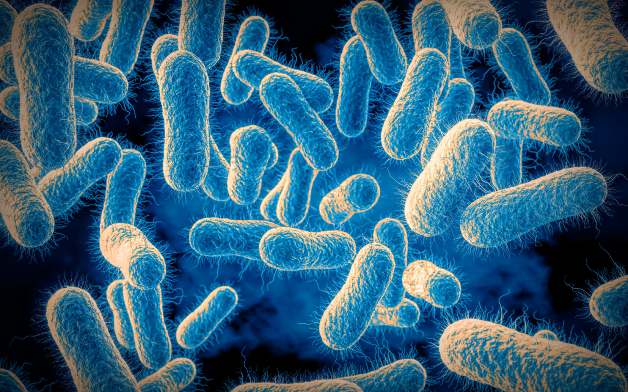 Warning as cases of deadly food poisoning bug salmonella reach highest level in a decade – 6 ways to protect yourself