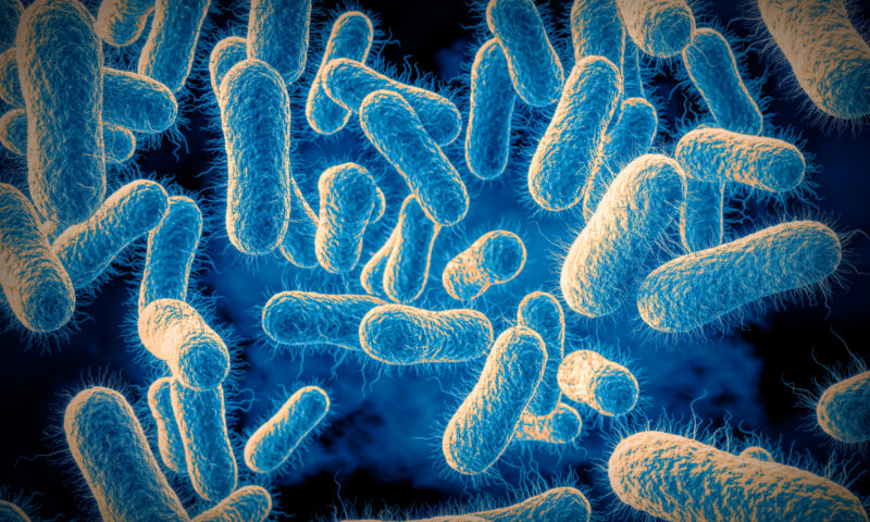 Warning as cases of deadly food poisoning bug salmonella reach highest level in a decade – 6 ways to protect yourself