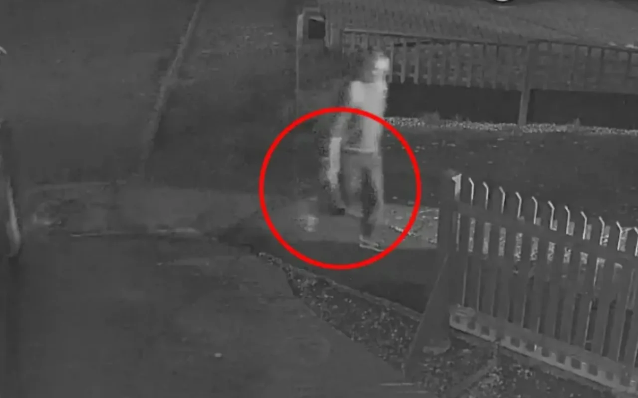 Axeman who hacked cousin to death in 3-minute rampage after calmly strolling into her home in dead of night is jailed