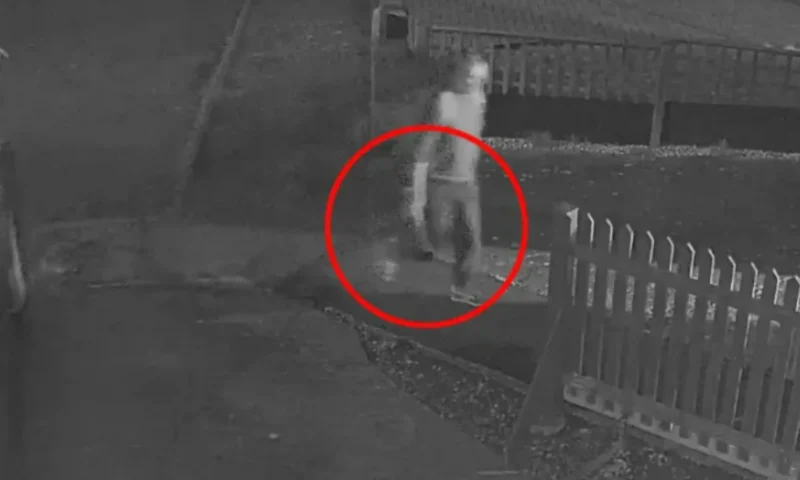 Axeman who hacked cousin to death in 3-minute rampage after calmly strolling into her home in dead of night is jailed