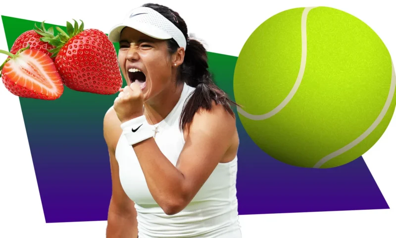 Book Wimbledon ticket and hotel packages from £331pp to see the best tennis players at SW19 and beat the queue