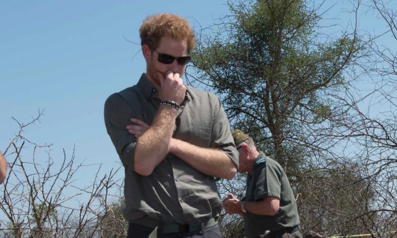 Prince Harry faces fresh calls to stand down from charity accused of funding rangers who ‘raped & tortured’ tribe