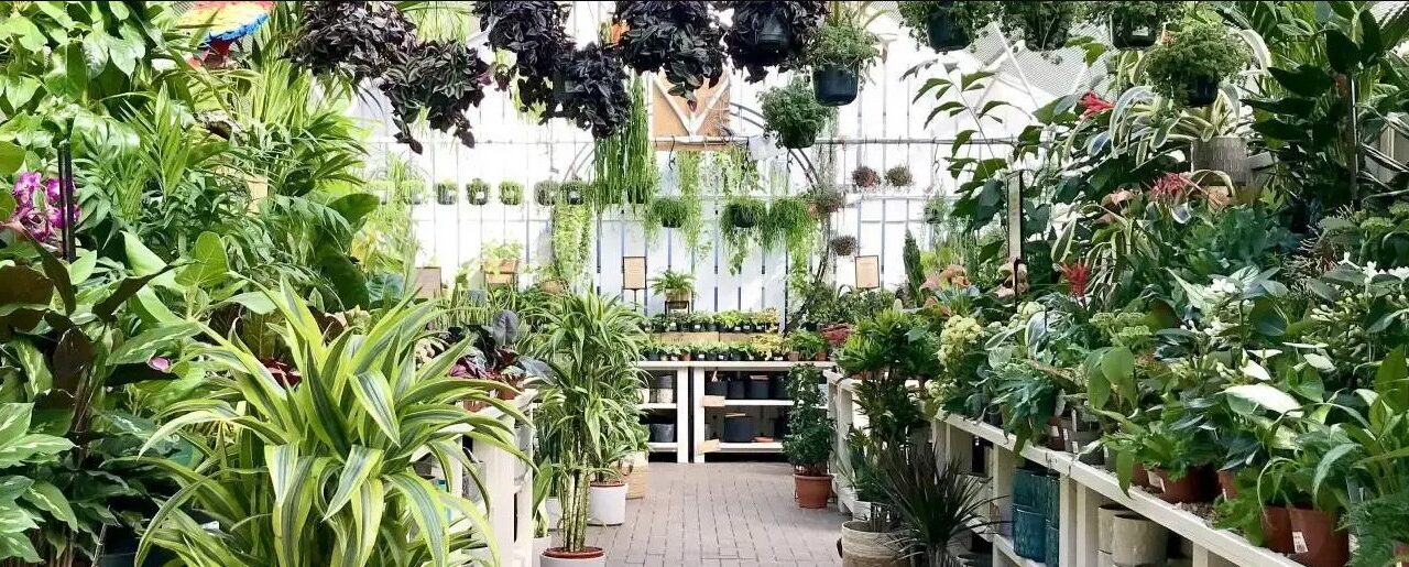 Britain’s biggest garden centre with soft play, tea room and even a Hobbycraft that’s perfect for a summer day trip