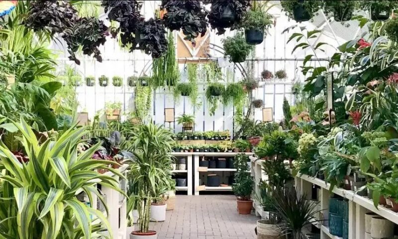 Britain’s biggest garden centre with soft play, tea room and even a Hobbycraft that’s perfect for a summer day trip