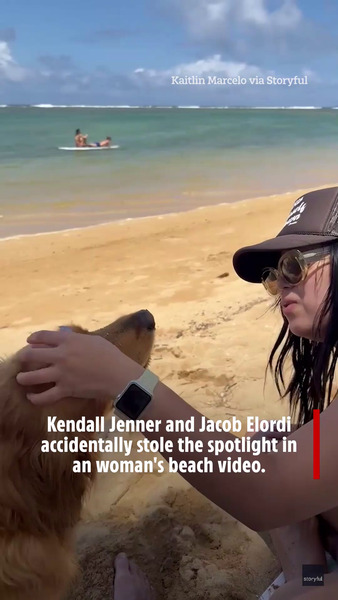Kendall Jenner and Jacob Elordi accidentally crash beach video