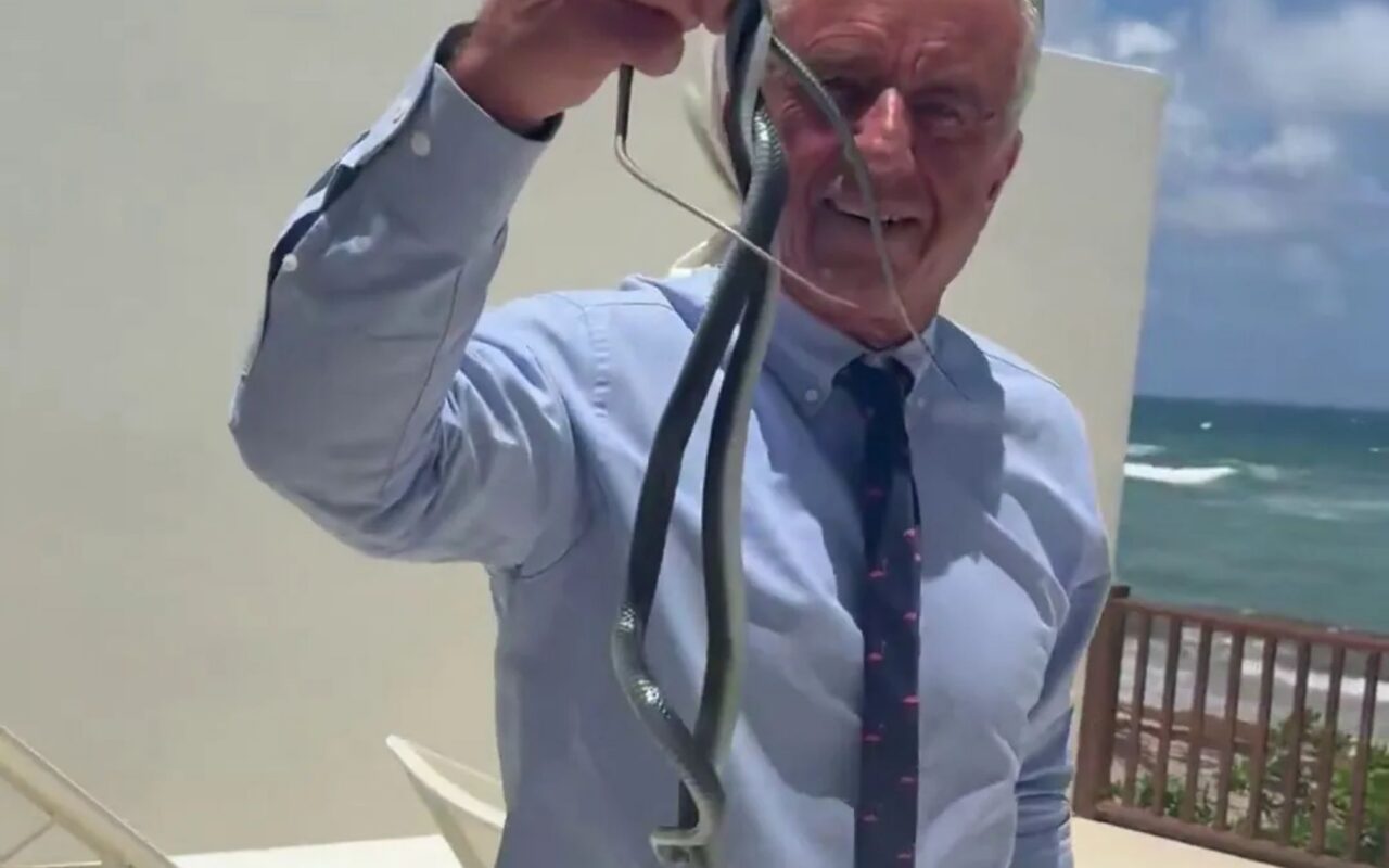 Moment RFK Jr catches two snakes with his bare hands on Dr Oz’s patio before one bites him