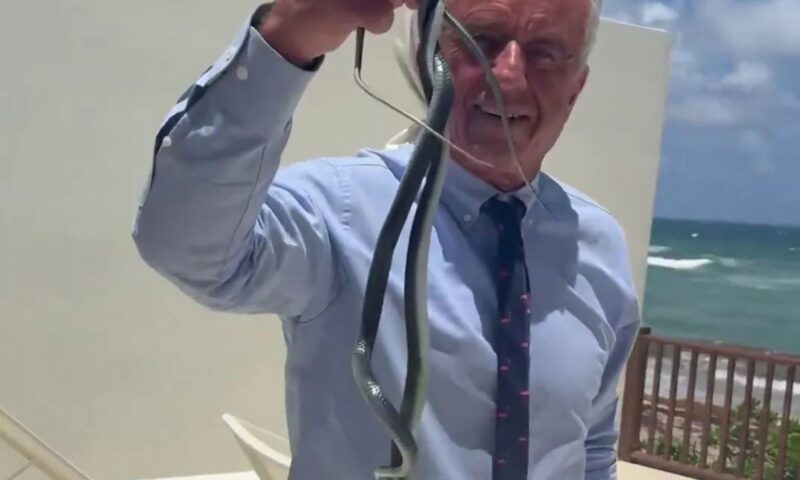 Moment RFK Jr catches two snakes with his bare hands on Dr Oz’s patio before one bites him