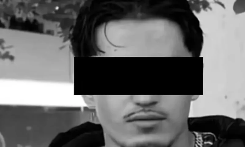 Afghan migrant ‘sexually assaulted girl, 11, at knifepoint in bathroom after breaking into German special needs school’