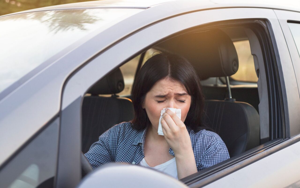 How hayfever can increase car crash risk as four in five sufferers say symptoms hinder their ability to drive